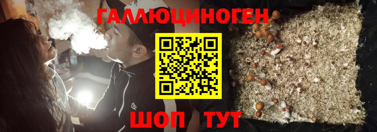 Псилоцибиновые грибы Cubensis  наркота  Белгород  Вход с VPN  Псилоцибиновые грибы GOLDEN TEACHER 