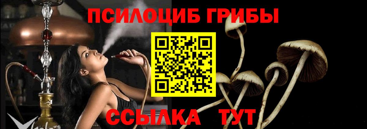 Псилоцибиновые грибы Magic Shrooms Белгород